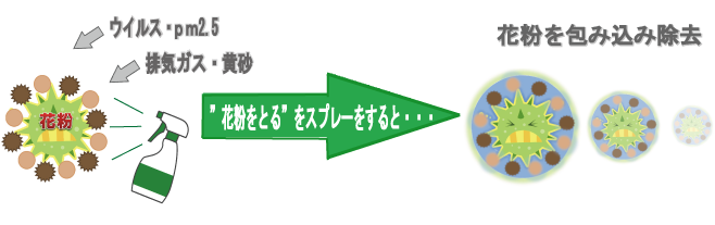 花粉除去仕組み