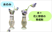 実験2