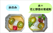 実験1